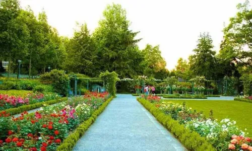 Zakir Hussain Rose Garden